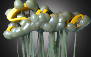Uranium Jelly